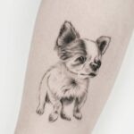 taichung-pet-tattoo台中寵物刺青推薦